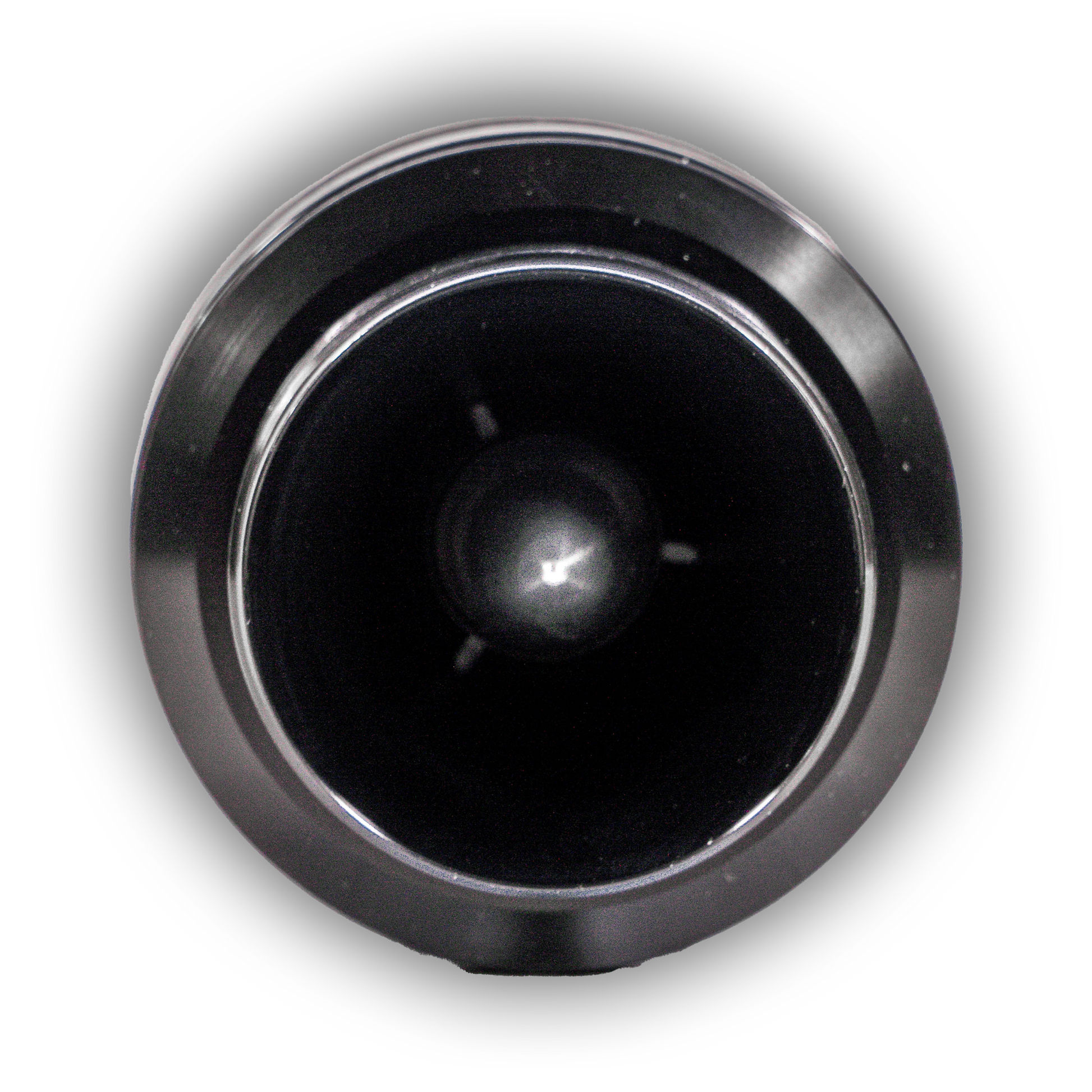 Nemesis Audio NA-TW6 2.2-inch 100W RMS 4-ohm super tweeter front view